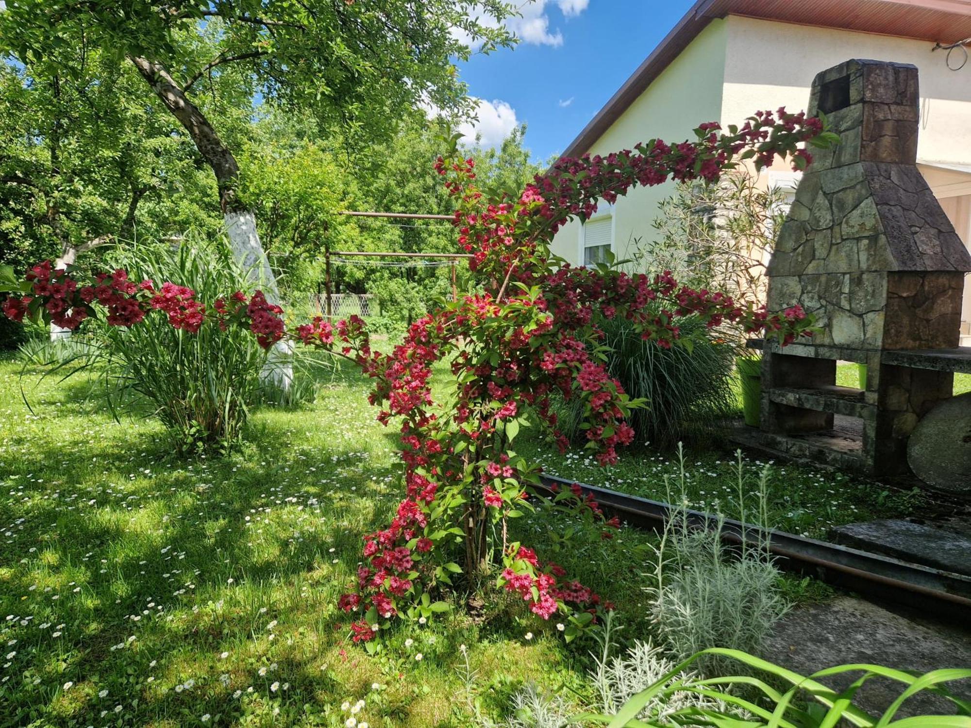 Studio Apartman Marica - Ogulin, Hrvatska Экстерьер фото