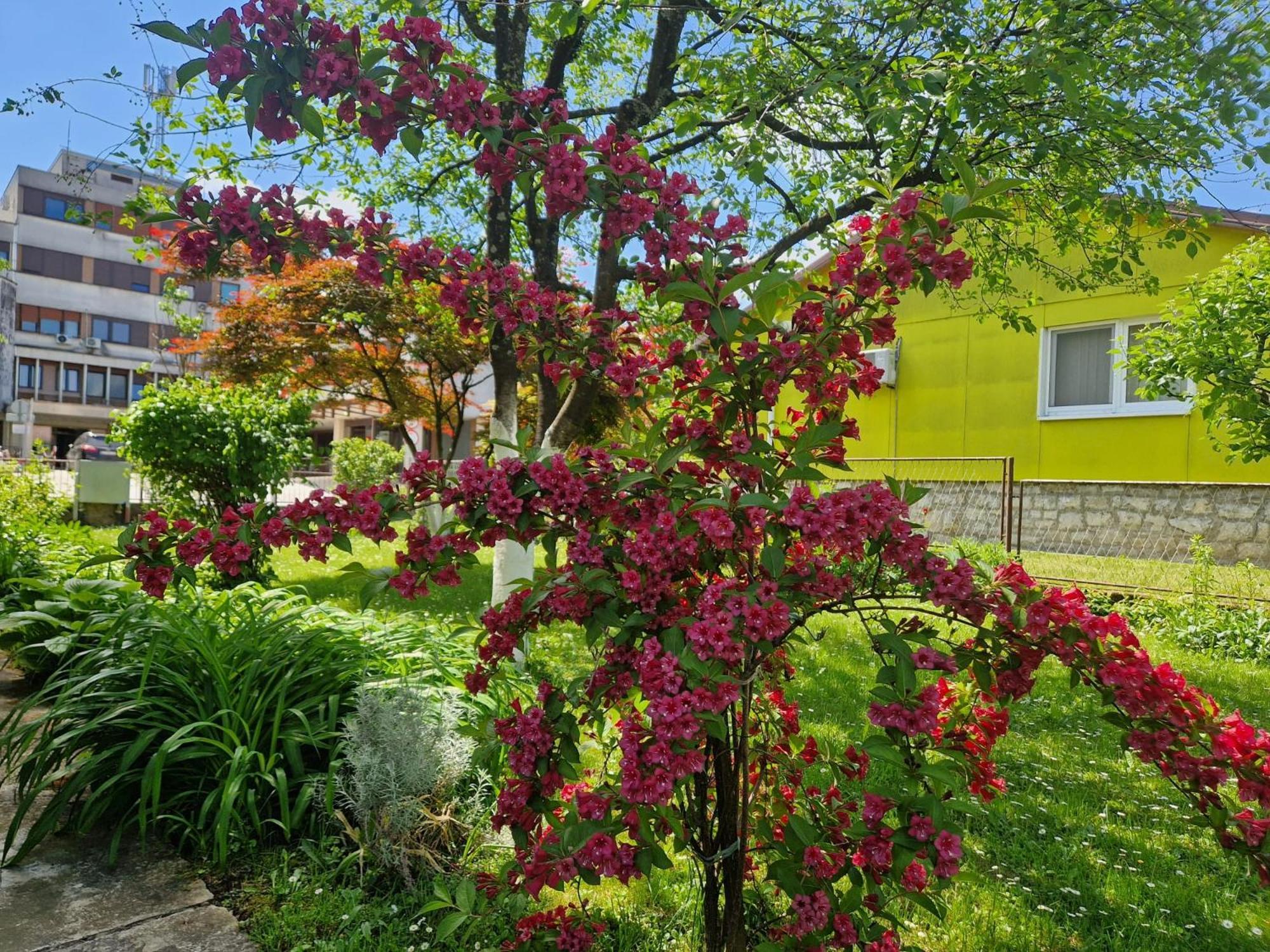 Studio Apartman Marica - Ogulin, Hrvatska Экстерьер фото