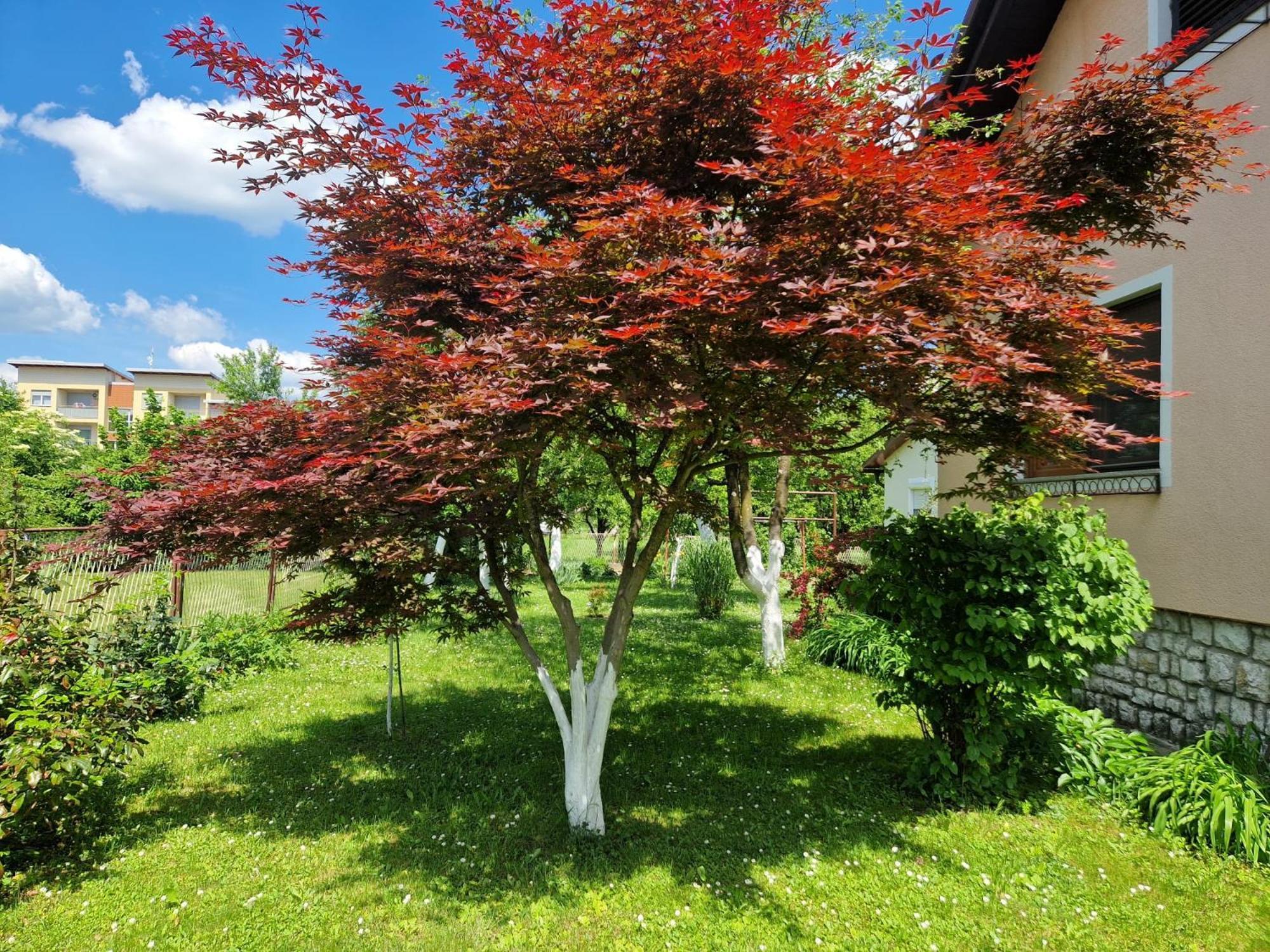 Studio Apartman Marica - Ogulin, Hrvatska Экстерьер фото